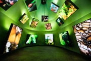 BBC Earth Experience, 2023 (Photo by Philip Volkers, from the BBC Earth website press pack)