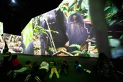 BBC Earth Experience, 2023 (Photo by Philip Volkers, from the BBC Earth website press pack)