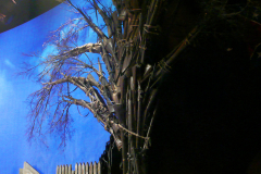 Detail from the set (from Souvenir Scenic Studios website)