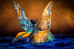 The Han Show, from dragone.com website