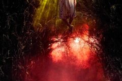 Photos by Brinkhoff/Moegenburg