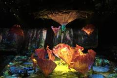 Toruk (from the Facebook page, 2017)