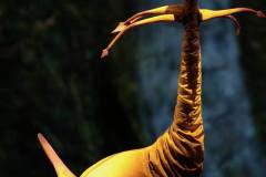 Toruk (from the Facebook page, 2017)