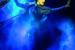 Willemijn Verkaik (Elphaba) in Defying Gravity. Photo by Matt Crockett (from the Wicked London website)