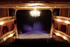 Audtorium and stage (from the Official Criterion Theatre website)