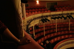 From the Official Criterion Theatre website