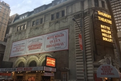 Shubert Theatre, July 2017 (c) Theatrecrafts.com