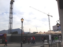 Cranes seen from the Upper Lot (January 2014, photo by Christian Beana, with thanks)