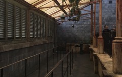 Hogwarts Greenhouses, April 2017