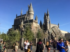 Soft opening - 12 February 2016, courtesy ThemeParkConnect.com



